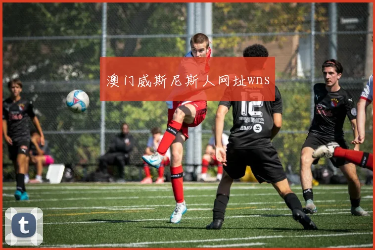 澳门威斯尼斯人网址wns