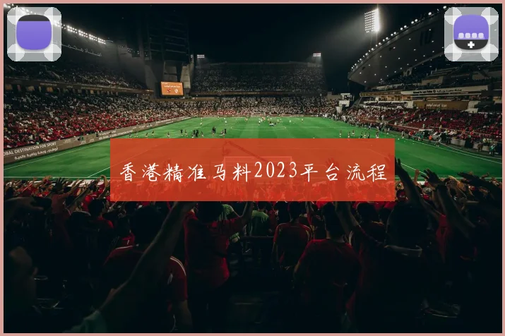 香港精准马料2023平台流程