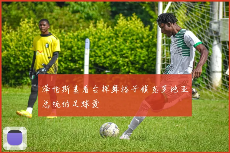 泽伦斯基看台挥舞格子旗克罗地亚总统的足球爱