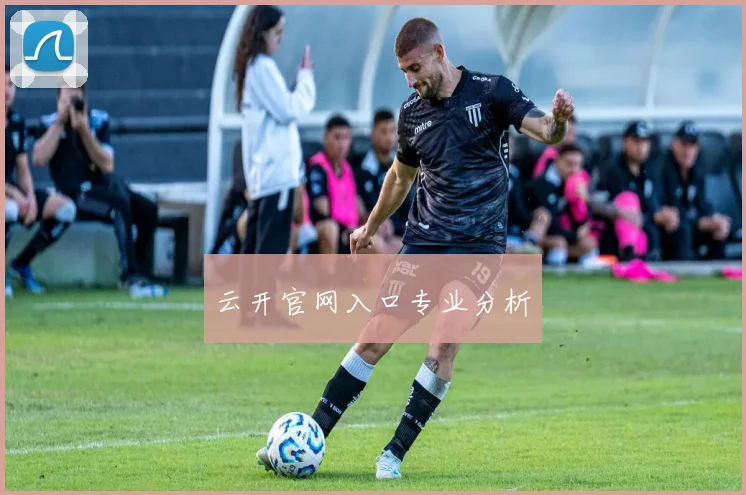 云开官网入口专业分析
