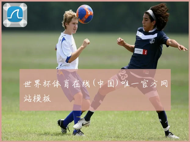 世界杯体育在线(中国)唯一官方网站模板