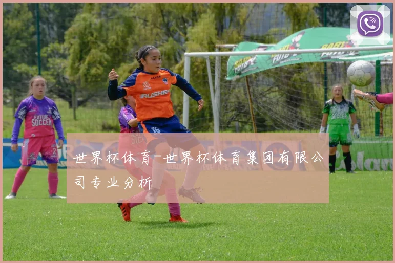 世界杯体育-世界杯体育集团有限公司专业分析