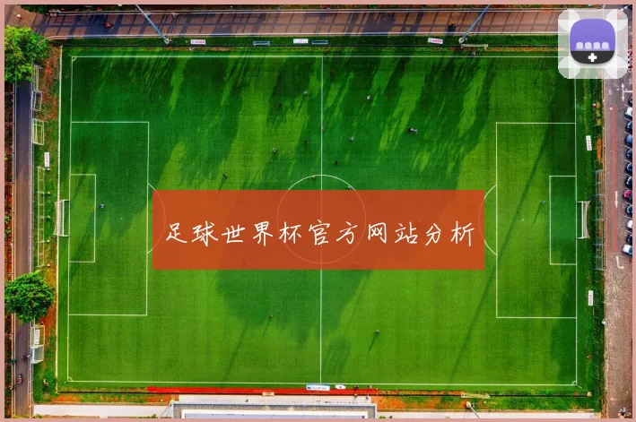 足球世界杯官方网站分析