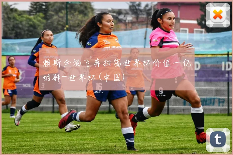 赖斯全场飞奔扫荡世界杯价值一亿的肺-世界杯(中国)