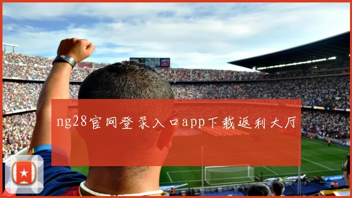 ng28官网登录入口app下载返利大厅