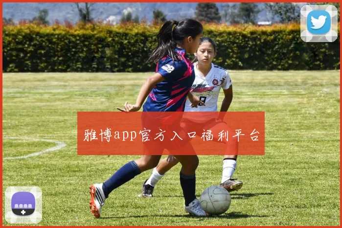 雅博app官方入口福利平台