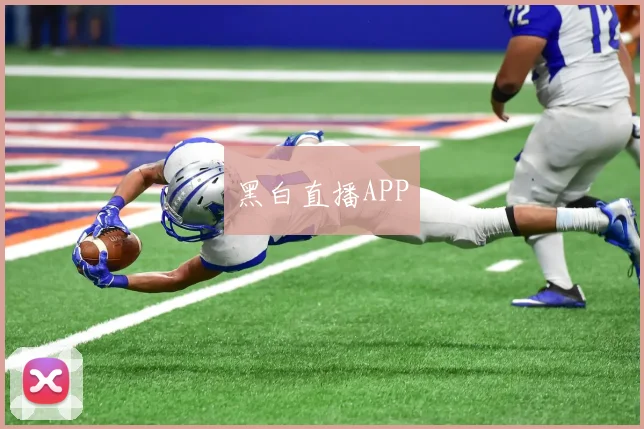 黑白直播APP