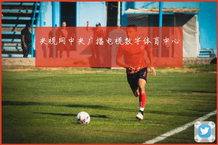 央视网中央广播电视数字体育中心