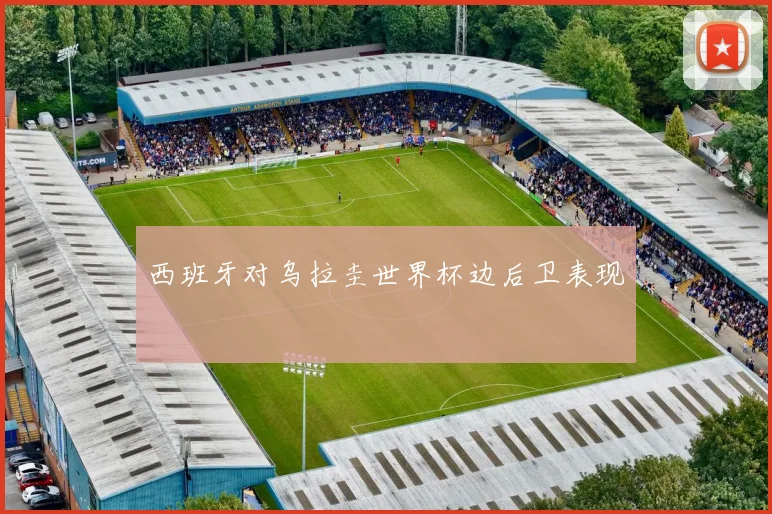西班牙对乌拉圭世界杯边后卫表现