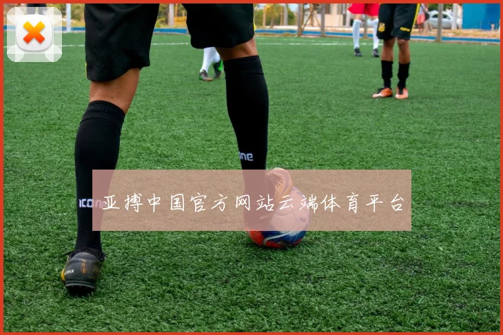 亚搏中国官方网站云端体育平台