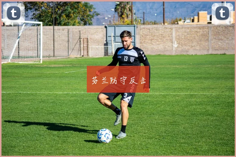 芬兰防守反击