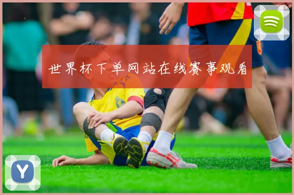 世界杯下单网站在线赛事观看