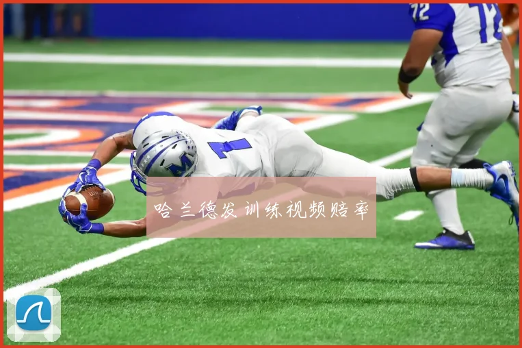 哈兰德发训练视频赔率