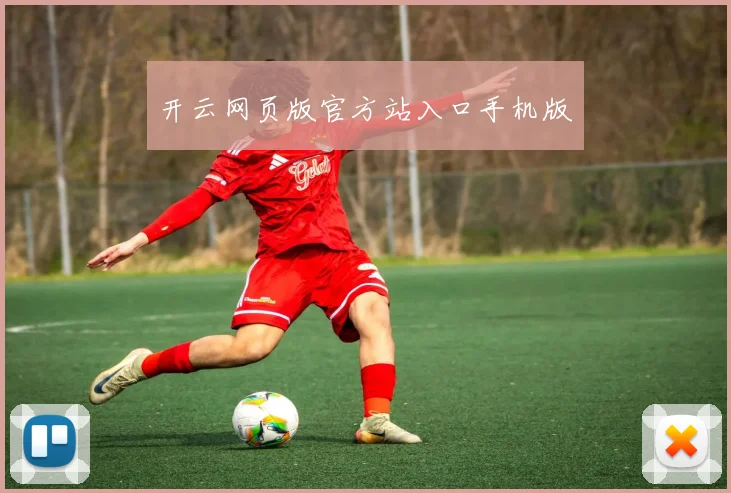 开云网页版官方站入口手机版