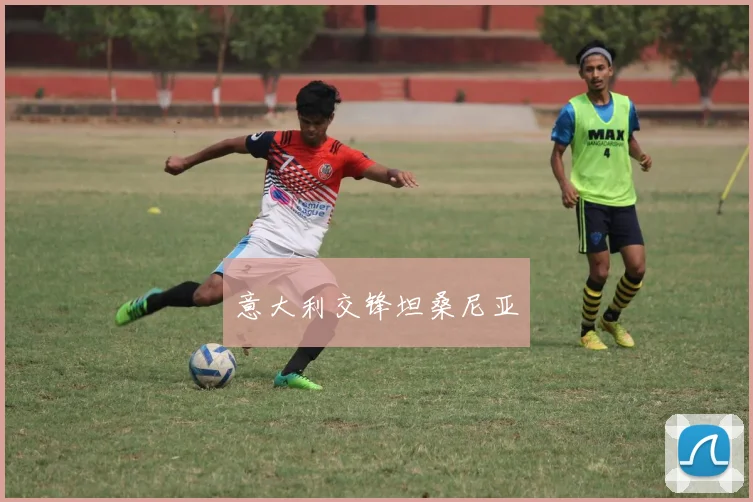 意大利交锋坦桑尼亚