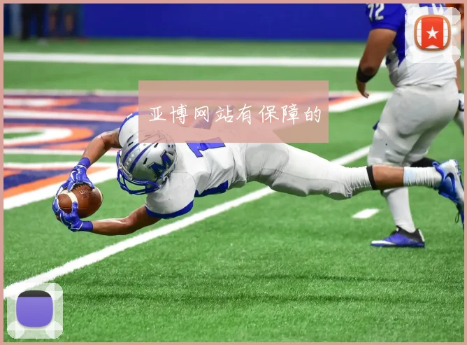 亚博网站有保障的