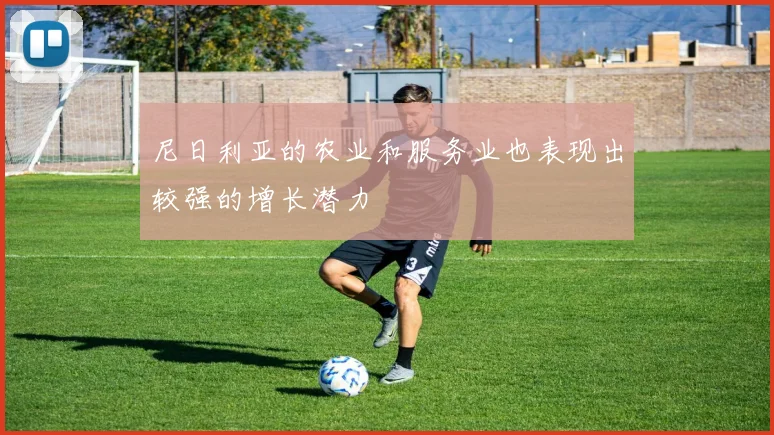 尼日利亚的农业和服务业也表现出较强的增长潜力