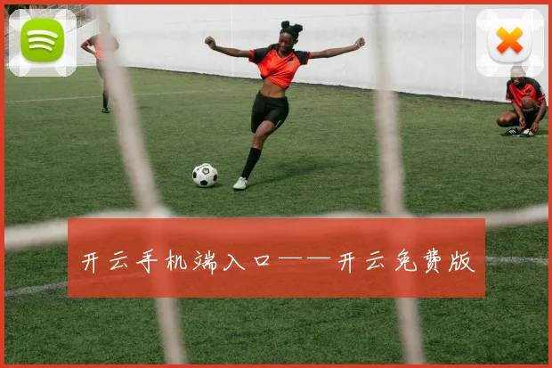 开云手机端入口——开云免费版