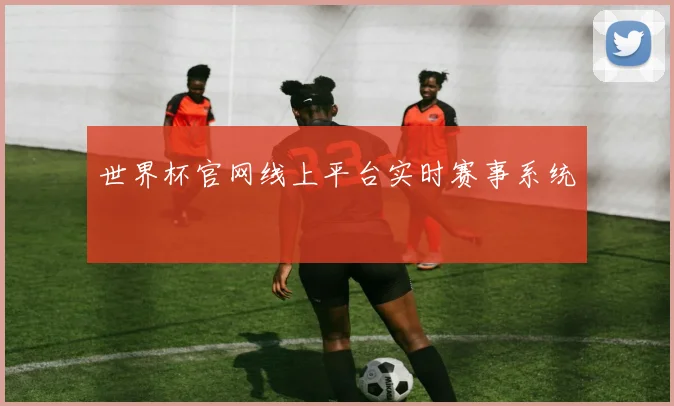 世界杯官网线上平台实时赛事系统