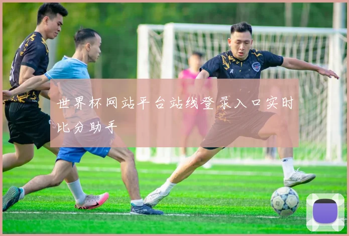 世界杯网站平台站线登录入口实时比分助手