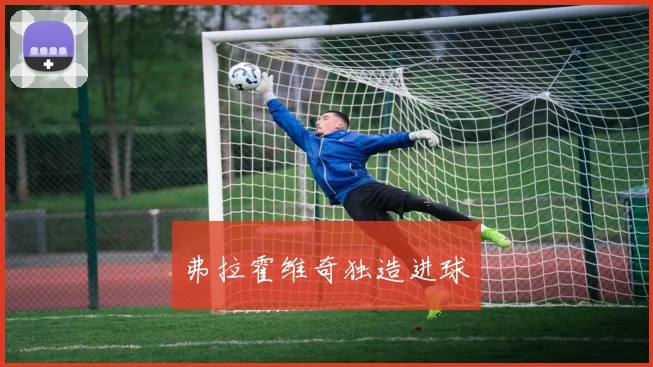 弗拉霍维奇独造进球