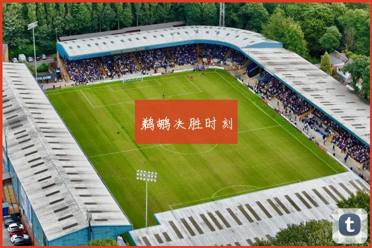 鹈鹕决胜时刻