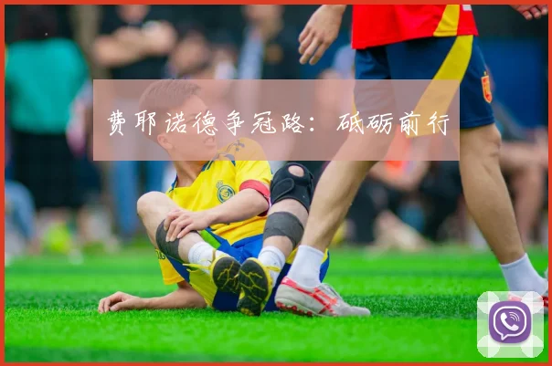 费耶诺德争冠路：砥砺前行