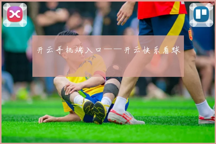开云手机端入口——开云快乐看球