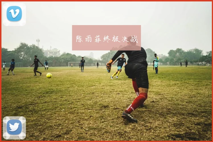 陈雨菲终极决战