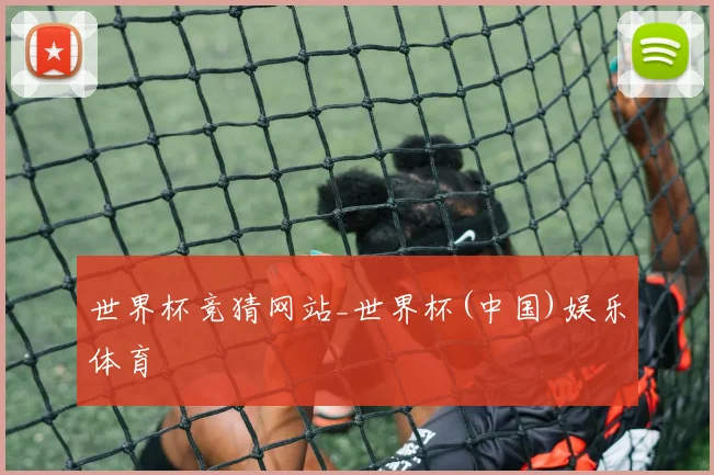 世界杯竞猜网站_世界杯(中国)娱乐体育