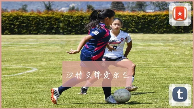 沙特交锋爱尔兰