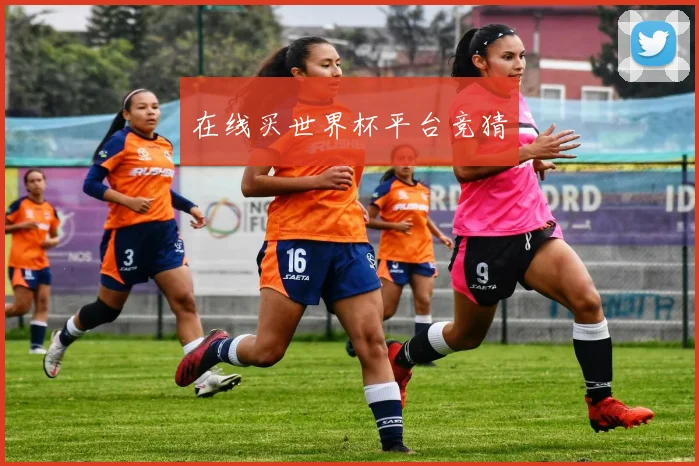 在线买世界杯平台竞猜