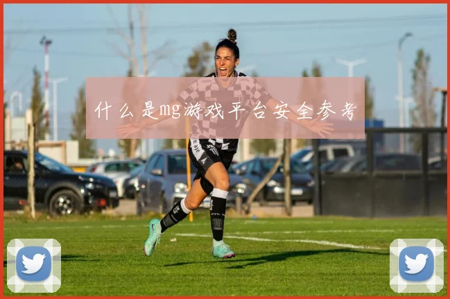 什么是mg游戏平台安全参考