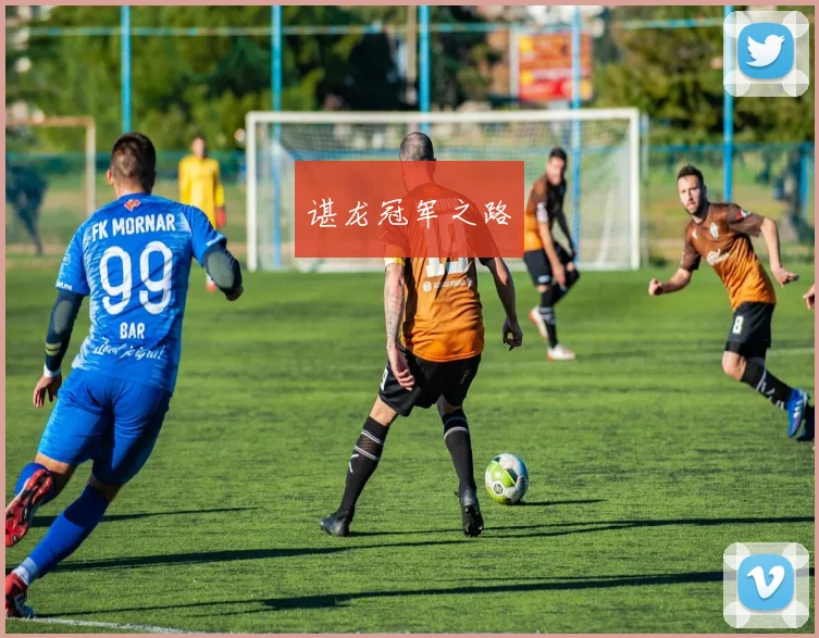 谌龙冠军之路