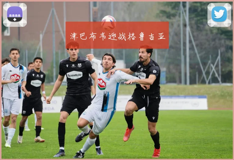 津巴布韦迎战格鲁吉亚