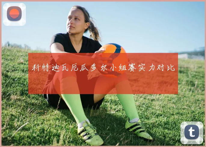 科特迪瓦厄瓜多尔小组赛实力对比