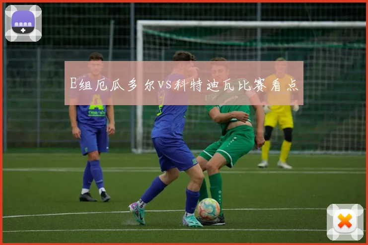 E组厄瓜多尔vs科特迪瓦比赛看点
